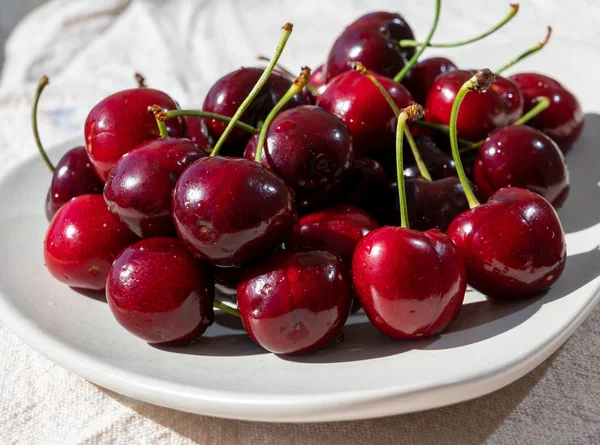 Nueva Cosecha Cereza Roja Oscura Madura Fresca Provenza Francia — Foto de Stock