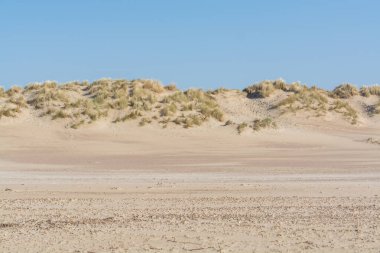 Güneşli bir günde, Renesse 'deki Kuzey Denizi plajının beyaz kumlu kumullarının görüntüsü, Zeeland, Hollanda