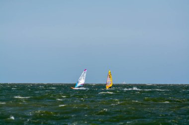 Hollanda 'da Kuzey Denizi' nin soğuk sularında aşırı su sporu