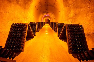 Derin ve uzun yeraltı mağaralarındaki raflarda şişeler şarap ve üzüm şarabından şampanya yapıyor Reims, Champagne, France 'ta.