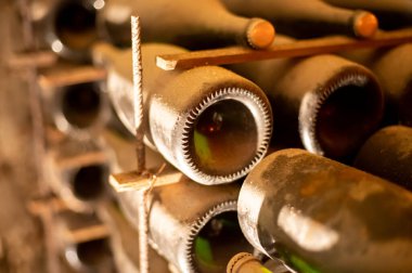 Derin ve uzun yeraltı mağaralarında, raflarda tozlu şişelerle yürür, Chardonnay 'den şampanya ve Reims, Champagne, France' da pinor noir üzümleri yapar.