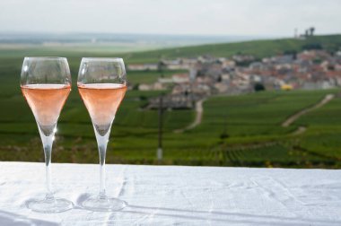 Montagne de Reims 'deki ünlü şampanya evlerinin yeşil Pinot noir Grand Cru üzüm bağları manzaralı açık havada şampanya tatma Verzenay, Champagne, France