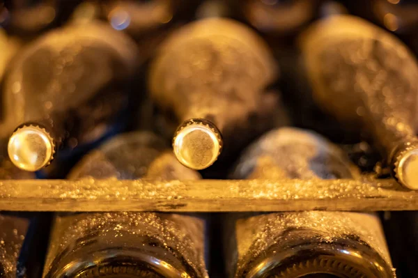 Derin ve uzun yeraltı mağaralarında, raflarda tozlu şişelerle yürür, Chardonnay 'den şampanya ve Reims, Champagne, France' da pinor noir üzümleri yapar.