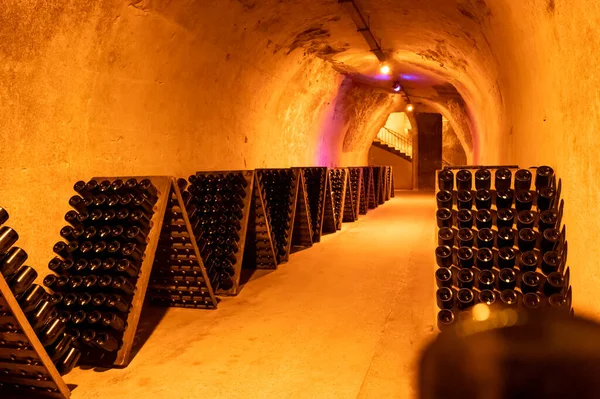 Derin ve uzun yeraltı mağaralarındaki raflarda şişeler şarap ve üzüm şarabından şampanya yapıyor Reims, Champagne, France 'ta.