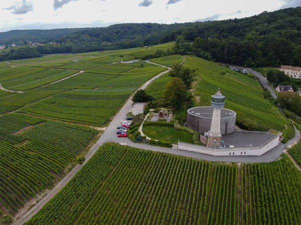 Blick Auf Leuchtturm Und Grüne Pinot Noir Grand Cru Weinberge — Stockfoto