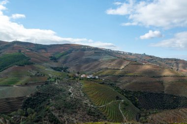 Douro nehir vadisinde panoramik manzara ve renkli tepe merdivenleri sonbaharda üzüm bağları, Portekiz 'de şarap ve liman üretim endüstrisi terasları