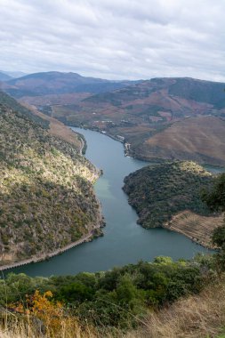 Douro nehir vadisinde panoramik manzara ve renkli tepe merdivenleri sonbaharda üzüm bağları, Portekiz 'de şarap ve liman üretim endüstrisi terasları