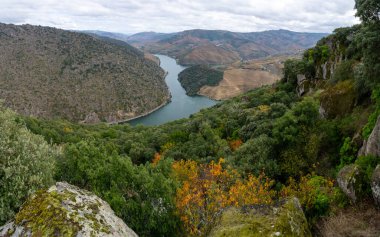 Douro nehir vadisinde panoramik manzara ve renkli tepe merdivenleri sonbaharda üzüm bağları, Portekiz 'de şarap ve liman üretim endüstrisi terasları