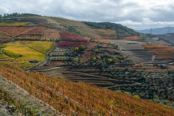 Panoramatický Výhled Údolí Řeky Douro Barevné Kopcovité Schodiště Schody Terasovité — Stock fotografie