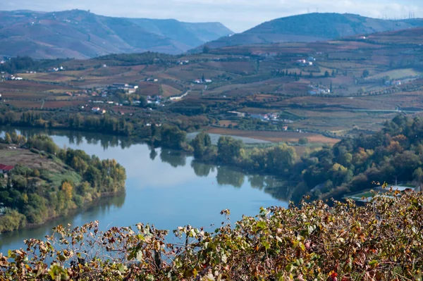 Vista Panorâmica Sobre Vale Rio Douro Colorida Escada Montanhosa Degrau — Fotografia de Stock