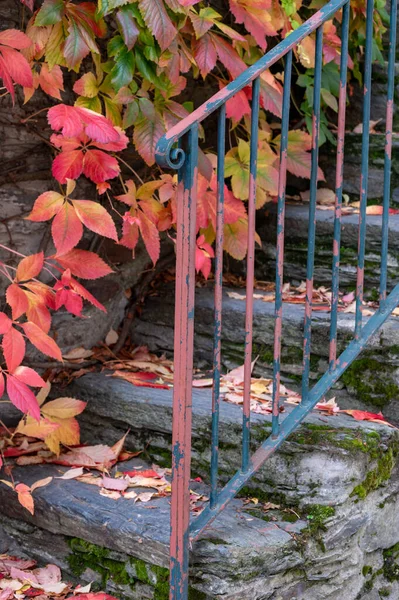 Blick Auf Das Alte Dorf Provesende Herzen Des Douro Flusstals — Stockfoto