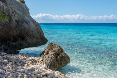 Yaz ve kış tatilleri, Curacao adası manzarası, tropikal bitki örtüsü ve Karayip denizinin mavi suyu.