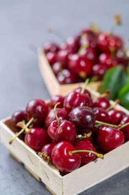 Taze ekşi kiraz meyveli küçük tahta kutular.