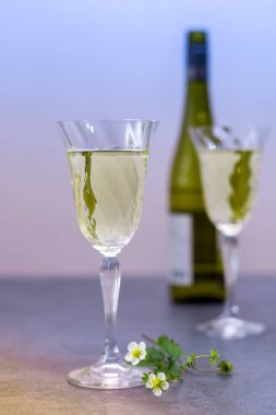 Mosel Nehri Vadisi 'nden beyaz Alman şarabı tadıyor.