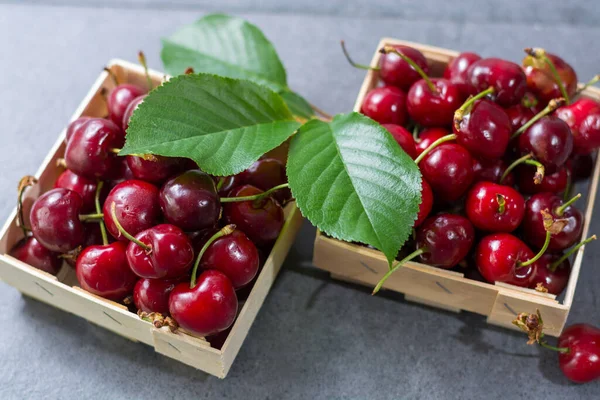 Kleine Holzkisten Mit Frischen Reifen Sauerkirschbeeren — Stockfoto