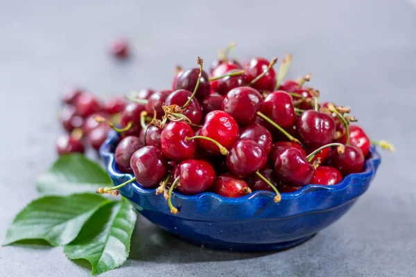 Cuenco Con Bayas Cereza Kriek Agrias Frescas Maduras — Foto de Stock