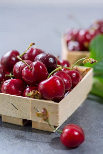 Kleine Holzkisten Mit Frischen Reifen Sauerkirschbeeren — Stockfoto