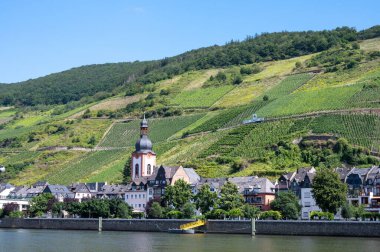 Mosel nehri manzaralı, üzüm bağları olan tepeler ve Almanya 'nın Zell kasabası.