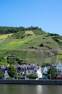 Mosel nehri manzaralı, üzüm bağları olan tepeler ve Almanya 'nın Zell kasabası.