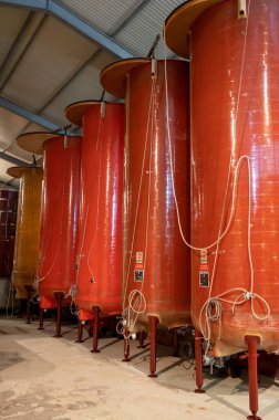 Burgundy 'deki büyük pleksiglas tanklarda beyaz şarap yapımı Chardonnay üzümünden, Fransız şarap üretimi