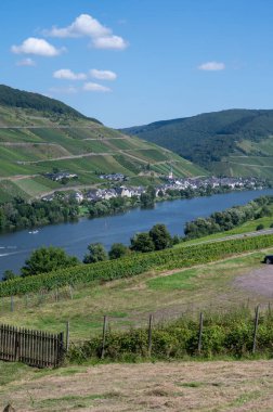 Almanya 'nın Mosel Nehri Vadisi' ndeki üzüm bağlarının panoramik manzarası