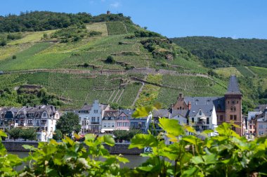 Mosel nehri manzaralı, üzüm bağları olan tepeler ve Almanya 'nın Zell kasabası.
