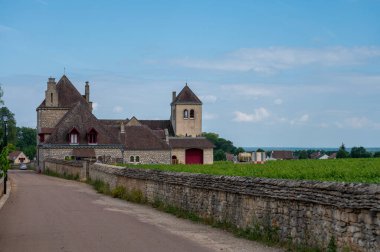 Yeşil duvarlı Grand Cru ve Fransa 'nın Burgundy bölgesinde kırmızı ve beyaz Burgundy şarabı üreten Cote de nuits' deki Pinot noir üzüm bitkileriyle dolu başlıca cru üzüm bağları..