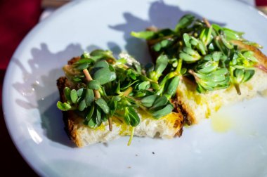 Antik Roma yemeği antipasti taze fırında ekmek zeytin yağı ve yeşil portulaca purslane salatası.