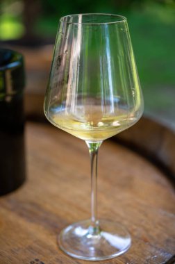 Şarap, şarap, şarap turizmi Fransa 'nın Burgundy Cote de Beaune şarap bölgesine şarap tadında pahalı bir şarap tatmak.