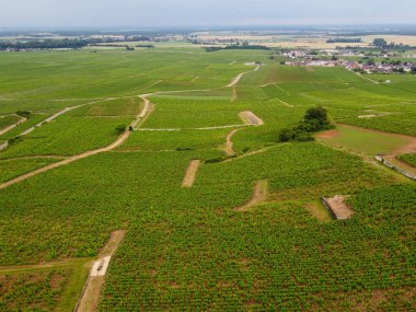 Yeşil Grand Cru ve Fransa 'nın Burgundy bölgesinde kırmızı ve beyaz Burgundy şarabı üreten Cote de nuits' deki Pinot noir üzüm bitkilerinin olduğu başlıca cru üzüm bağlarının Aerian görüntüsü.