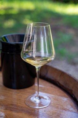 Şarap, şarap, şarap turizmi Fransa 'nın Burgundy Cote de Beaune şarap bölgesine şarap tadında pahalı bir şarap tatmak.