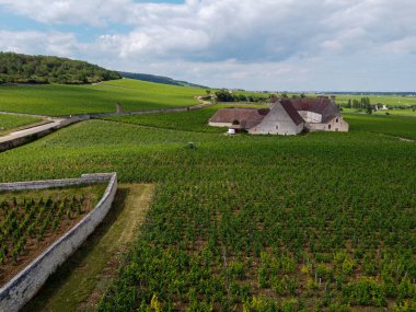 Fransa 'nın doğusundaki Burgundy bölgesinde kırmızı ve beyaz Burgundy şarabı üreten, Cote de nuits' teki Pinot noir üzüm bitkilerinin bulunduğu duvarlı yeşil büyük cru ve başlıca cru üzüm bağlarına Aerian manzarası.