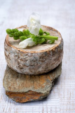 Peynir koleksiyonu, olgun inek peyniri, Fransa 'dan gelen mantarlı tommette de savoie, Alp dağlarında yapılan peynir.