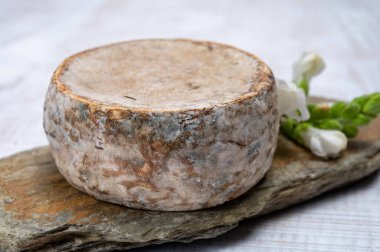 Peynir koleksiyonu, olgun inek peyniri, Fransa 'dan gelen mantarlı tommette de savoie, Alp dağlarında yapılan peynir.