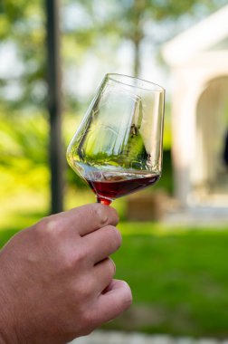 Pahalı kırmızı şarap tatma Pinot noir üzümleri, şarap turizmi Burgundy Cote de Nuits şarap bölgesine, Fransa