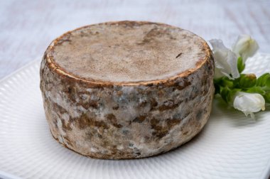 Peynir koleksiyonu, olgun inek peyniri, Fransa 'dan gelen mantarlı tommette de savoie, Alp dağlarında yapılan peynir.