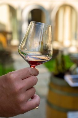 Pahalı kırmızı şarap tatma Pinot noir üzümleri, şarap turizmi Burgundy Cote de Nuits şarap bölgesine, Fransa