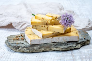 Peynir koleksiyonu, olgun sarı inek peyniri ve Belçika 'dan hardal tohumları.