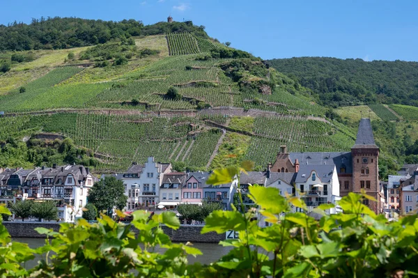 Mosel nehri manzaralı, üzüm bağları olan tepeler ve Almanya 'nın Zell kasabası.