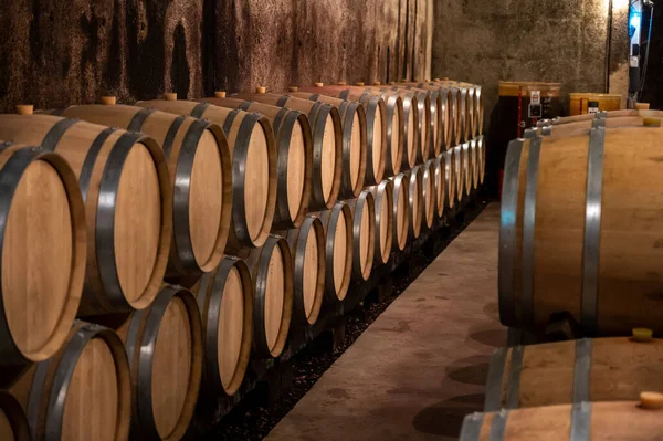 Száraz Vörösbor Tárolása Évekig Tölgyfahordókban Burgundia Barlangjaiban Pinot Noir Szőlőből — Stock Fotó