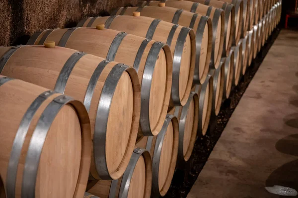 Keeping Years Dry Red Wine New Oak Barrels Caves Burgundy — Stock Photo, Image