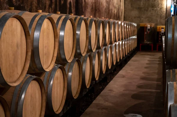 Mantendo Por Anos Vinho Tinto Seco Barricas Carvalho Novo Cavernas — Fotografia de Stock