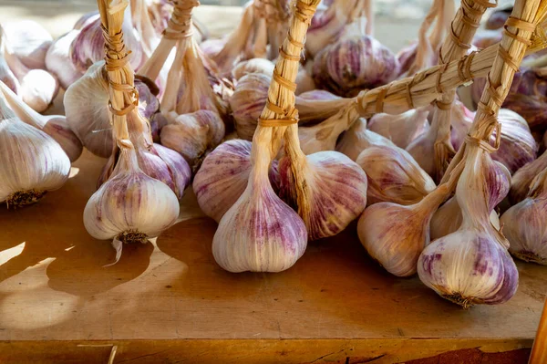 法国普罗旺斯市集上的一束新鲜的紫罗兰有机大蒜 — 图库照片