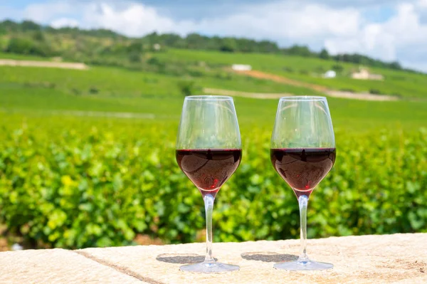 Tasting of burgundy red wine from grand cru pinot noir  vineyards, two glasses of wine and view on green vineyards in Burgundy Cote de Nuits wine region, France in summer