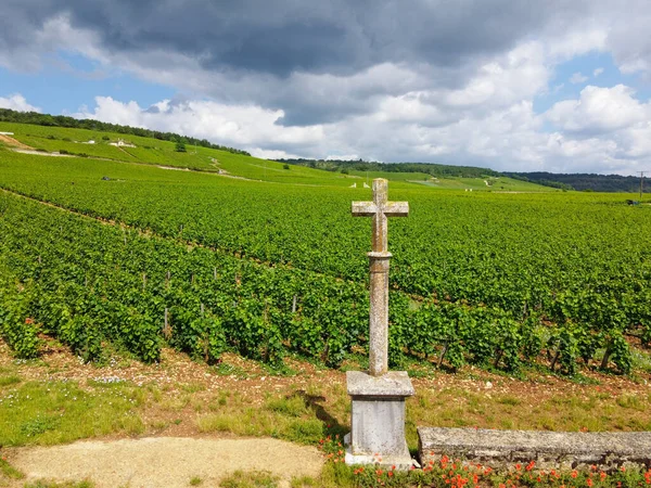Fransa 'nın doğusundaki Burgundy bölgesinde kırmızı ve beyaz Burgundy şarabı üreten, Cote de nuits' teki Pinot noir üzüm bitkilerinin bulunduğu duvarlı yeşil büyük cru ve başlıca cru üzüm bağlarına Aerian manzarası.
