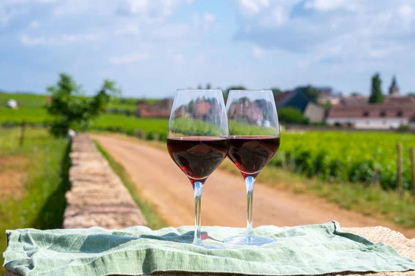 Tasting of burgundy red wine from grand cru pinot noir  vineyards, two glasses of wine and view on green vineyards in Burgundy Cote de Nuits wine region, France in summer