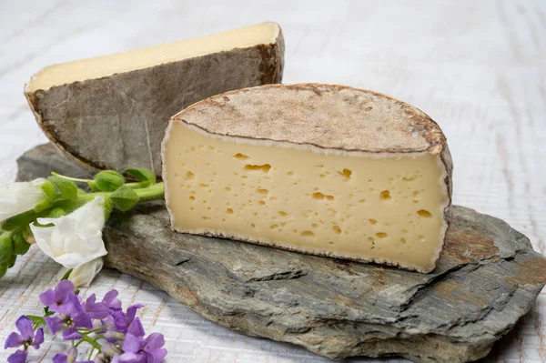 Coleção Queijos Queijo Vaca Amadurecido Com Bolor Tommette Savoie França — Fotografia de Stock