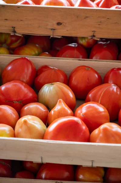 Saboroso Grandes Tomates Franceses Maduros Caixas Madeira Mercado Agricultores Provença — Fotografia de Stock