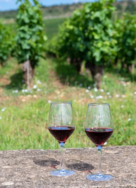 Tasting of burgundy red wine from grand cru pinot noir  vineyards, two glasses of wine and view on green vineyards in Burgundy Cote de Nuits wine region, France in summer