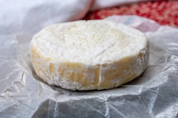 Coleção Queijo Queijo Vaca Macia Branco Fresco Com Molde Suíça — Fotografia de Stock